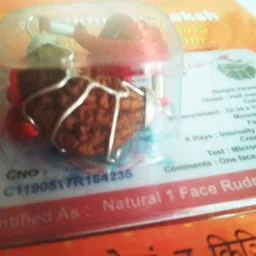 radhey 1 Mukhi Rudraksha Kawach Lab Certified Wood Pendant image 4