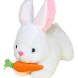 kiddietown Super Cute and Beautiful Soft Toy Rabbit With Carrot - 26 cm-picture-19