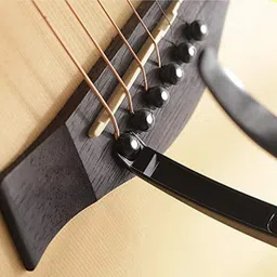 imaginea Electric Acoustic Guitar Strings Set with Black Saddle Set for All Type of Guitar Guitar String image 4