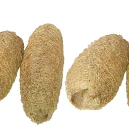 das departmental store Loofah-picture-24