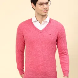 Men Solid V Neck Pink Sweater-image-68