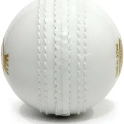 royal prince incredible White Cricket Training Ball-picture-10