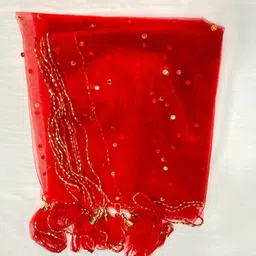 apna kapda bazaar Net Self Design Red Women Dupatta-picture-12