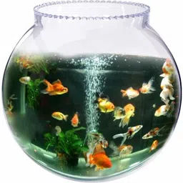 Glass Fish Tank for Small Betta Fish & Plants tank_14i(14 INCH) Round Ends Aquarium Tank-image-22