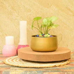 casacraft by pepperfry Iron Vase image 1