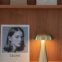 ritesh Mushroom Shape Portable LED Table Lamp 3Colour Changing USB Table Lamp image 2