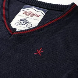 roadster Men Solid V Neck Blue Sweater image 3