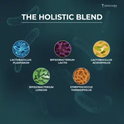 ZEROHARM Probiotic-IBS Relief from Constipation, Fight IBS/IBD, Reduce Bloating & Acidity - 60 Capsules image 5