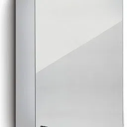 lyca MIRROR CABINET 10 X 16 PACK OF 1 Stainless Steel Wall Shelf-picture-13