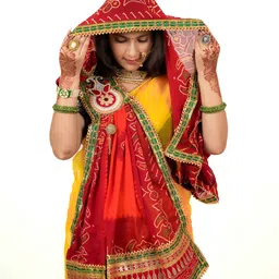 avilhara Poly Georgette Embroidered Multicolor Women Dupatta-picture-10