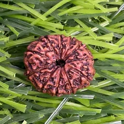 beautum Wood Pendant-picture-24