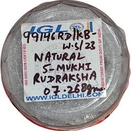 5 Mukhi Original Nepali Rudraksha IGL Certified For Wealth and Puja Instructions Mother of Pearl image 2