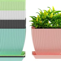 gajanan mart 7 inch Square Flower Pots Outdoor Indoor, Planters with Drainage Hole and Tray Plant Container Set-picture-24