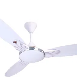 daktron CF_0009 with 6 Months Warranty BLDC Motor 1 mm Ceiling Fan-picture-14