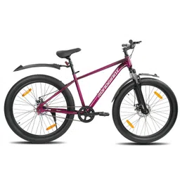 roadgiant SQUAD29.5T||MTB||SteelBicycle||DualDiscBrakes||SingleSpeed||FrontSuspension 29 T (inch) Mountain Cycle-picture-22