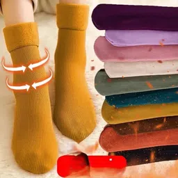 ez sox Women Solid Ankle Length-picture-46