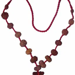 navkaar creation Rudraksha Siddha Mala (1-16 Mukhi) Indonesian (Java) Small 12-14mm Thread Dori Necklace-picture-11