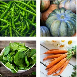 seedaria Hybrid Vegetables seeds COMBO pack, for home garden mix vegetables Seed image 3