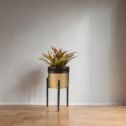 Metal Hammered Table Planter Gold-Black Small-image-2