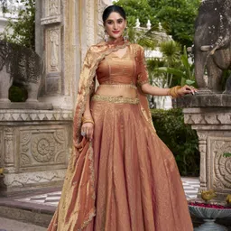 looknbook art Embroidered Semi Stitched Lehenga Choli image 5