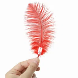 chayanvi Pack of 100 Decorative Feathers image 1