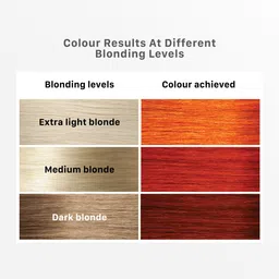 streax Hair Colour Highlight Kit , Hair Colour for Women, DIY Application , Pumpkin Orange image 4