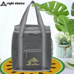 right choice office tiffin bag for all men women boys & girls stylish lunchbag handbag Grey (3009) Waterproof Lunch Bag-picture-11