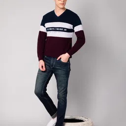 cantabil Men Colorblock V Neck Purple, Blue, White Sweater image 5