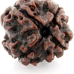 4 Mukhi Nepali Rudraksha Brass, Wood Pendant-image-0