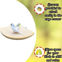 Addy Bird Perch Wooden Perch For Bird image 2