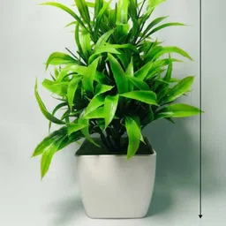 shashi traders Artificial Plant Bonsai Artificial Plant with Pot image 3