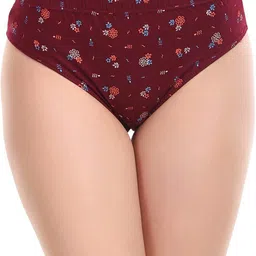 rupa Pack of 4 Women Hipster Multicolor Panty image 4