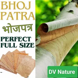 dv nature Original bhojpatra 5 sheet, bhojpatra wooden yantra & mantra, bhoj patra leaf Wooden Yantra image 4