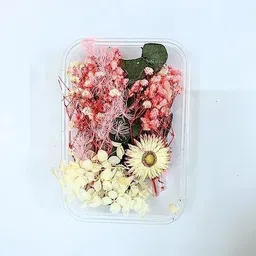 Multi-Color Real Dry Flowers for Art, Craft, Home Decor (1-Box Any Colour) Multicolor Dried Twigs Artificial Flower-image-29