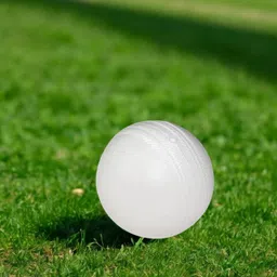 nongi Heavy Plastic Ball White Non Toxic (Pack of 6 | 80gm Per Ball) Cricket Training Ball image 2