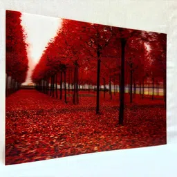 elite Plastic Wall Photo Frame image 4