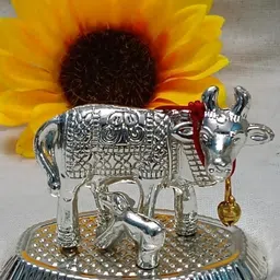 aadhvikom enterprises Decorative Showpiece - 5 cm image 1