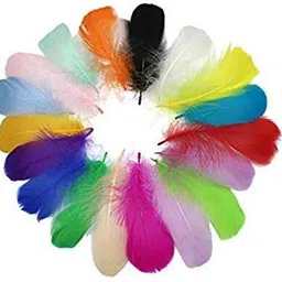 airtick (Pack of 80pcs) Multi-Purpose Natural Dyed Craft Feathers for Art & Craftworks image 4