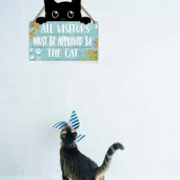 All Visitors Must Be Approved By The Cat Wooden Door Wall Hanging Decor-image-75