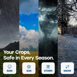 double kissan 30FTX18FT-80-B Tent - For Suitable For: Household Storage, Balcony Shade, 2-Wheeler Cover, Rain Protection image 5