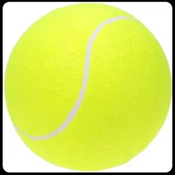 New-Tennis ball _155Pack of 6 Tennis Ball-image-82