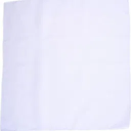 PALMLON Premium White Handkerchiefs, Soft & Durable, Perfect for Daily Use for Men ["White"] Handkerchief image 3
