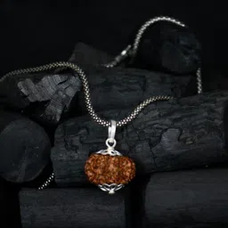 ceylonmine01 12 Mukhi NEPALI RUDRAKSHA Pendent RUDRAKSHA Pendent 100% Original & Certified Silver Beads Alloy Pendant image 2