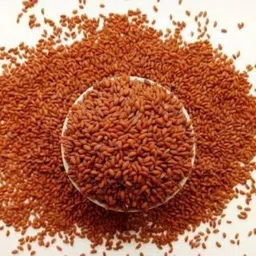 brijbooti HALIM SEEDS Seed-picture-21