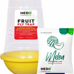 hedo Melon Fruit Fly IPM Trap with Melon Lure for all Vegetable Crops pack Of 10-picture-31