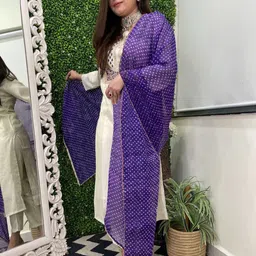 DIVASTRI Women Ethnic Motifs Embroidered Regular Mirror Work Kurta with Trousers & With Dupatta image 3