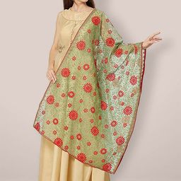 Dupatta Bazaar Embroidered Organza Dupatta with Thread Work-picture-46