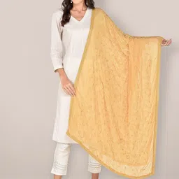 Dupatta Bazaar Embroidered Dupatta-picture-14