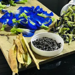 plant garden life Aparajita Seeds Blue Color, Butterfly Pea Seeds, Clitoria Ternatea Seed Seed image 4