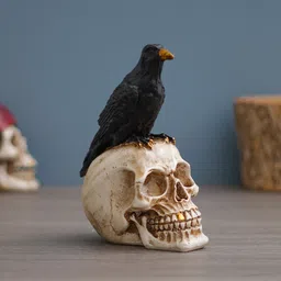 shyam antique creation Raven On Skull Halloween Decoration Sculpture - Gothic Crow On Skull Statue Decorative Showpiece - 20.32 cm image 1